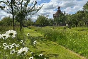 Visite libre : découverte printanière des jardins du parc du château