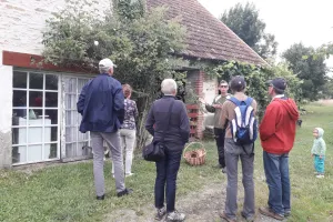 Visite guidée de l'arboretum