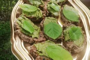 Balad'apéro sauvage