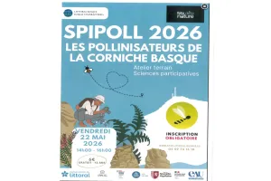Sortie nature CPIE : SPIPOLL 2026 Les pollinisateurs de la corniche basque