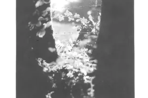 Lande interdite de Anne Isabelle Devillers