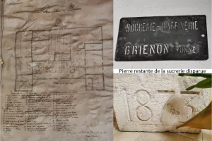 Circuit véhiculé "Brienon, terre de sucre"