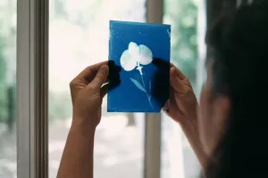 Initation au cyanotype sur verre