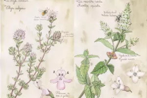 Les 48h de l'agriculture urbaine au Parc Rivière