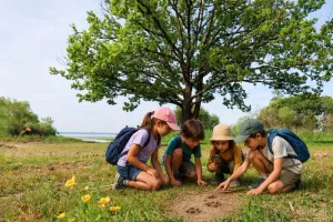 Atelier enfant "Sur les traces des animaux"