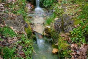 Kermesse de la fontaine Saint Jacques