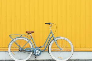Balade à vélo à la découverte des vergers dans la ville