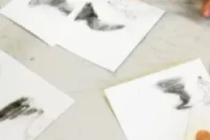 Stage artistique : cinéma d’animation