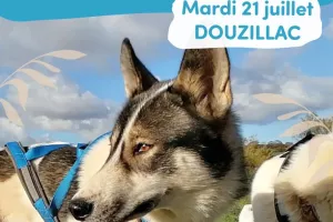 Été actif : Cani-rando