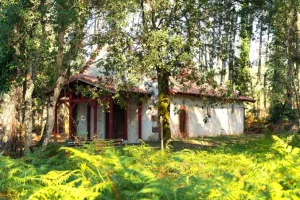 Balade Pédestre guidée