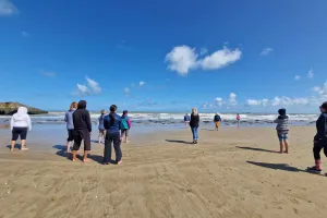 Secrets de nature : balade bota sophro bord de mer