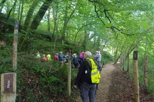 Visite du site archéologique des grottes du Pape - Randonnée