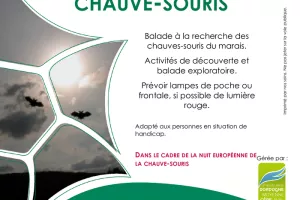 Nuit de la Chauve-souris