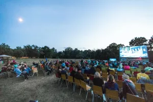 Cinéma en plein air