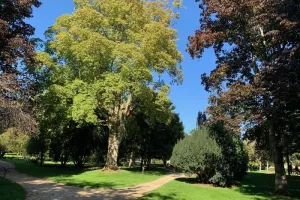 Parcours de l’arbre