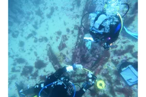 Journées européennes de l’archéologie : Devenez archéologue sous-marin… en piscine