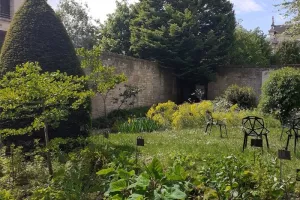Atelier herboristerie pratique