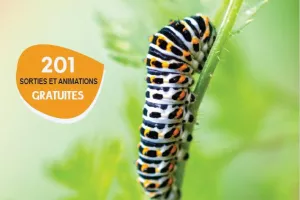 SORTIE NATURE : PHOTOGRAPHIER LA NATURE EN AUTOMNE