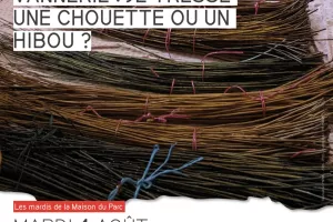 Atelier je tresse une chouette ou un hibou?
