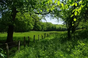 Randonnée dans la fraîcheur du matin "Sauveterre - Les Cayroux - Les Escourgats"