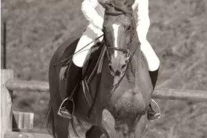 Eté Actif : Equitation