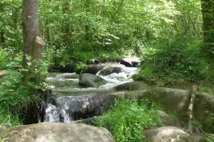 Contes au bruit des cascades