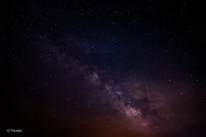Balade nocturne : à la rencontre des merveilles de la nuit