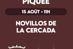 Novillada piquée