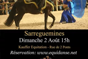 Spectacle EquiDanse