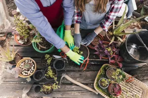 Atelier jardinage et bricolage