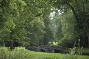 Visite libre des jardins