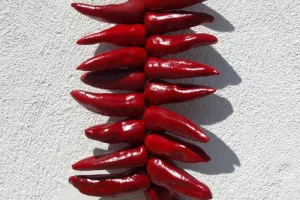 Les Rendez-vous de la Boutique : L'Atelier du Piment