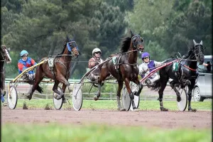 Course hippique