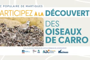 Atlas populaire de la Biodiversité Communale : "Découverte des oiseaux de Carro"