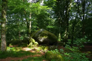 Sortilèges de la pleine lune : "Les Pierres à Légendes de Chabrières"