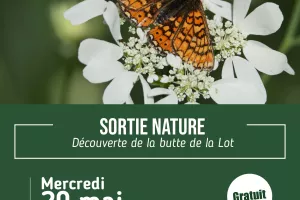 Découverte de la faune et la flore de la Butte de la Lot