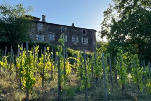 BALADE GOURMANDE