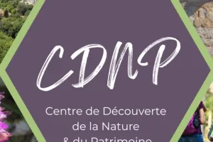 Soirée contée