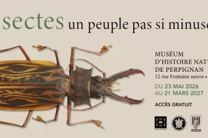 INSECTES ET COMPAGNIE