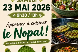 APPRENEZ À CUISINER LE NOPAL