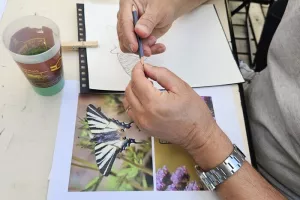 Atelier autour des plantes mellifères