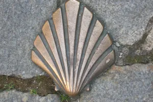 Sur le chemin de Saint-Jacques-de-Compostelle - Visite Guidée