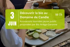 Animations enfants au Domaine de Candie