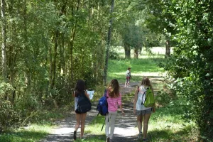 Randonnée pédestre La Transballu