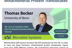 Thomas Becker - Molecular Cooperation of Mitochondrial Protein Translocases