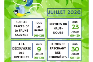 Sortie nature - A la découverte des libellules