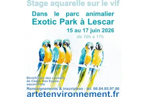 Stage aquarelle sur le vif