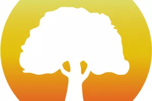 Stage de yoga Iyengar et Yoga aérien