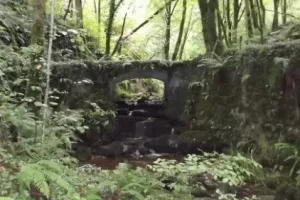 Journées du patrimoine de pays:  archéologie d’un paysage agraire
