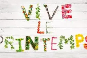 Programme ALSH Jules Verne - C'est le printemps !!!